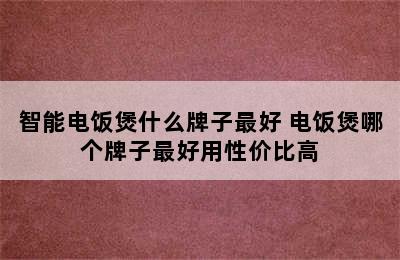 智能电饭煲什么牌子最好 电饭煲哪个牌子最好用性价比高